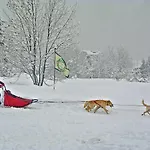 De La Maison 5* Courmayeur
